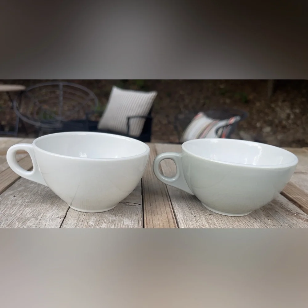Shenango 50’s Retro MCM Gray & Pink Dinner Plate Tea Cup & Saucer Set